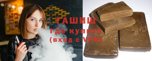 гидра Новодвинск