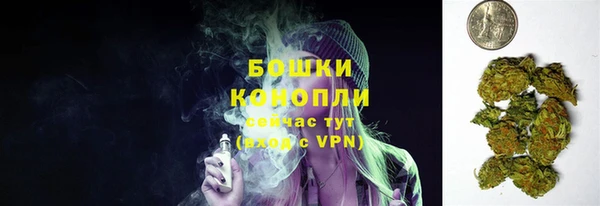 ALPHA-PVP Новозыбков