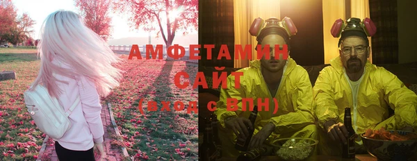 гидра Новодвинск