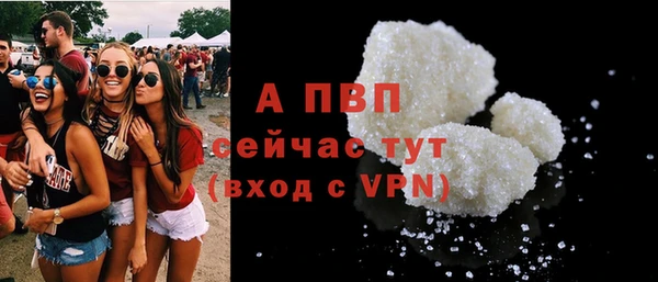 гидра Новодвинск