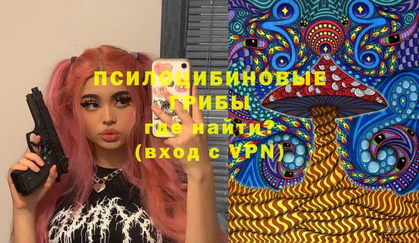 ALPHA-PVP Новозыбков