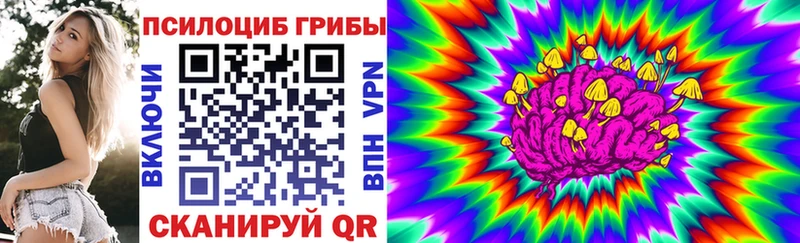 Галлюциногенные грибы MAGIC MUSHROOMS  дарк нет клад  Кадников 